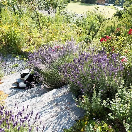 Apartamento Reinthalers *