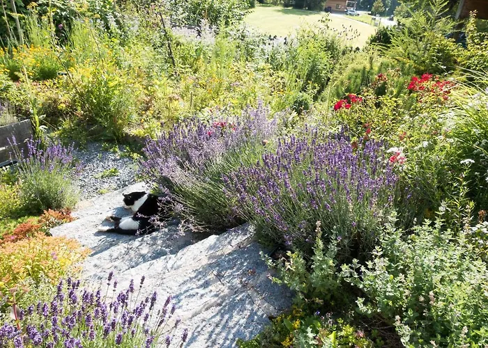 Appartement Reinthalers *