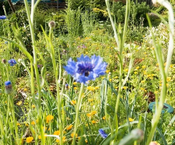 Appartement Reinthalers *